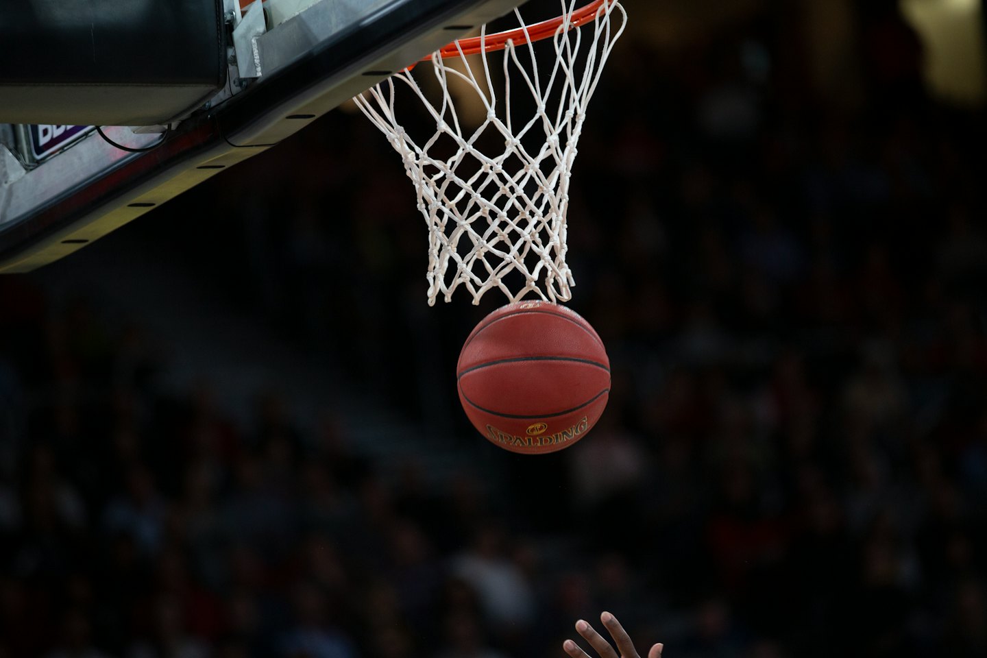 Roter Basketball fällt durch ein weißes Netz.